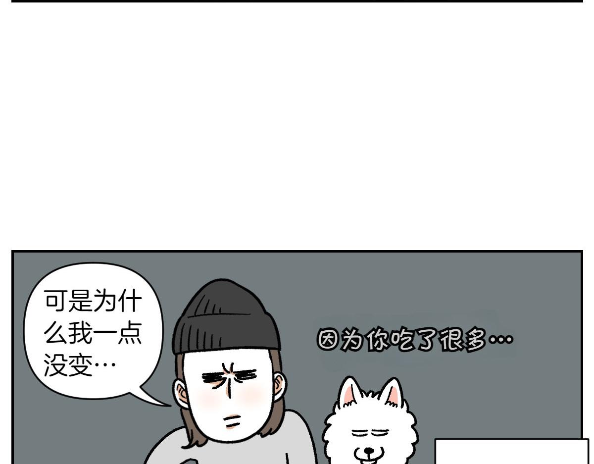 第17话 胖狗狗248