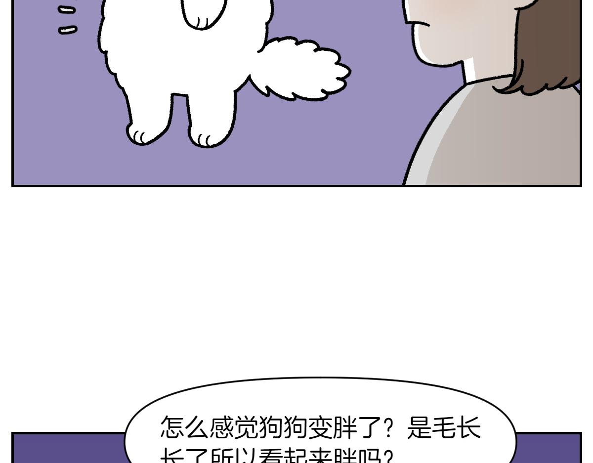 第17话 胖狗狗26