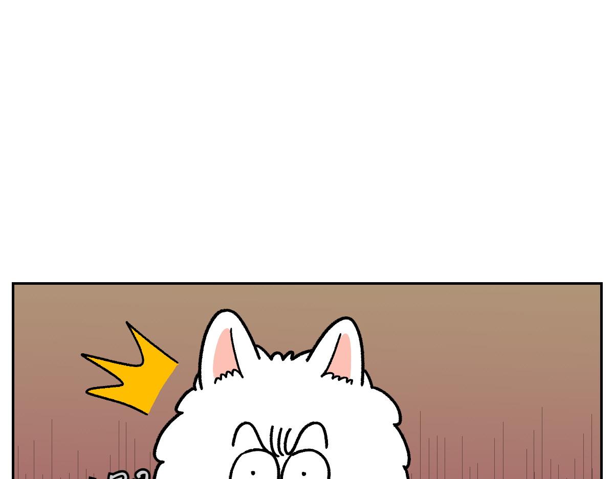 第19话 干净饮食12