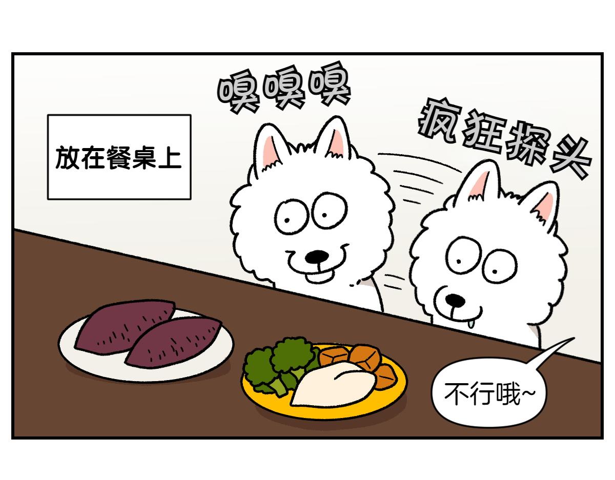 第19话 干净饮食29