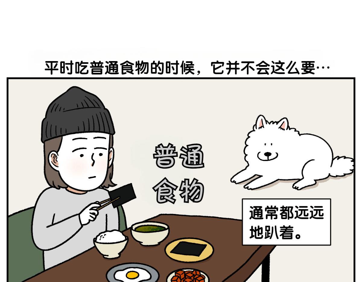 第19话 干净饮食41