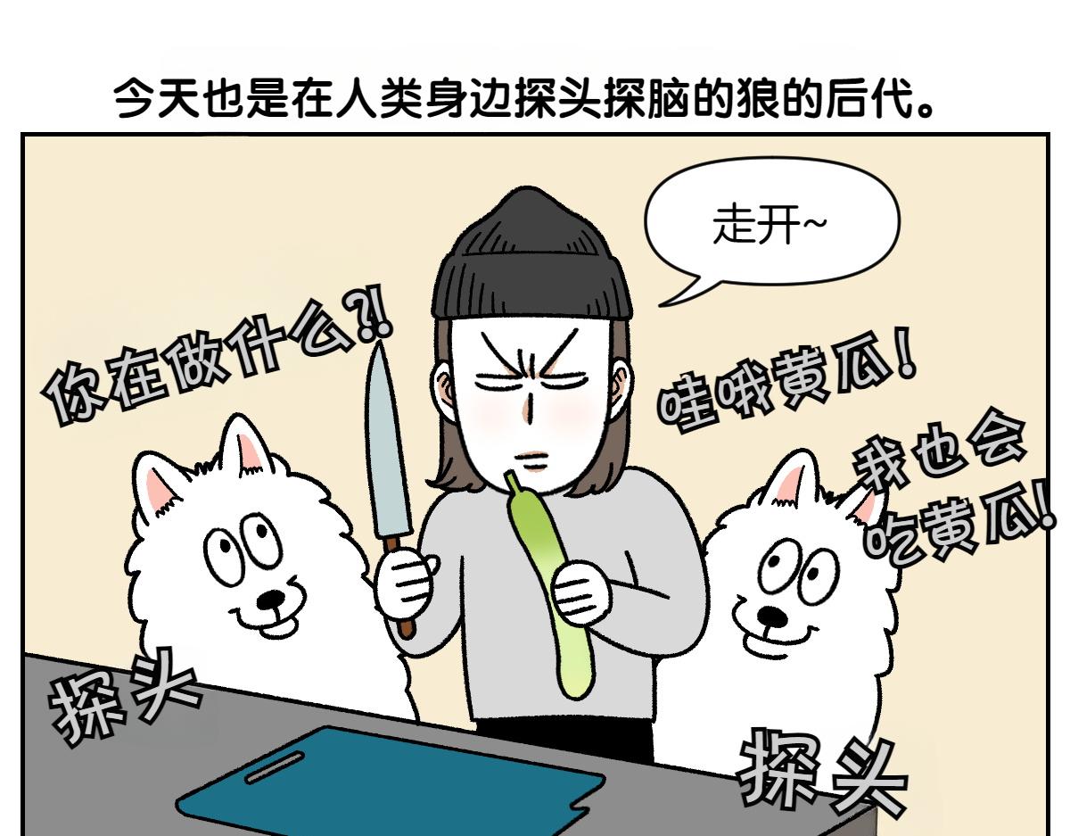 第21话 歪头等待的狗4