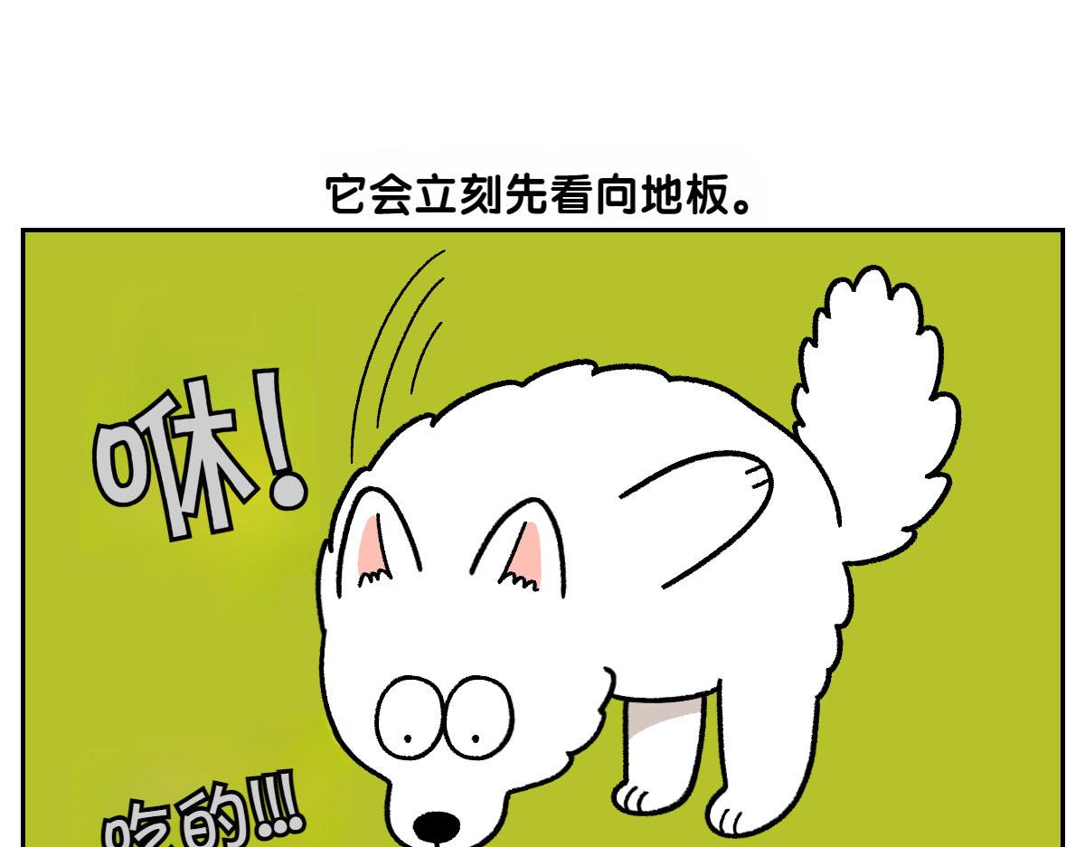 第21话 歪头等待的狗42