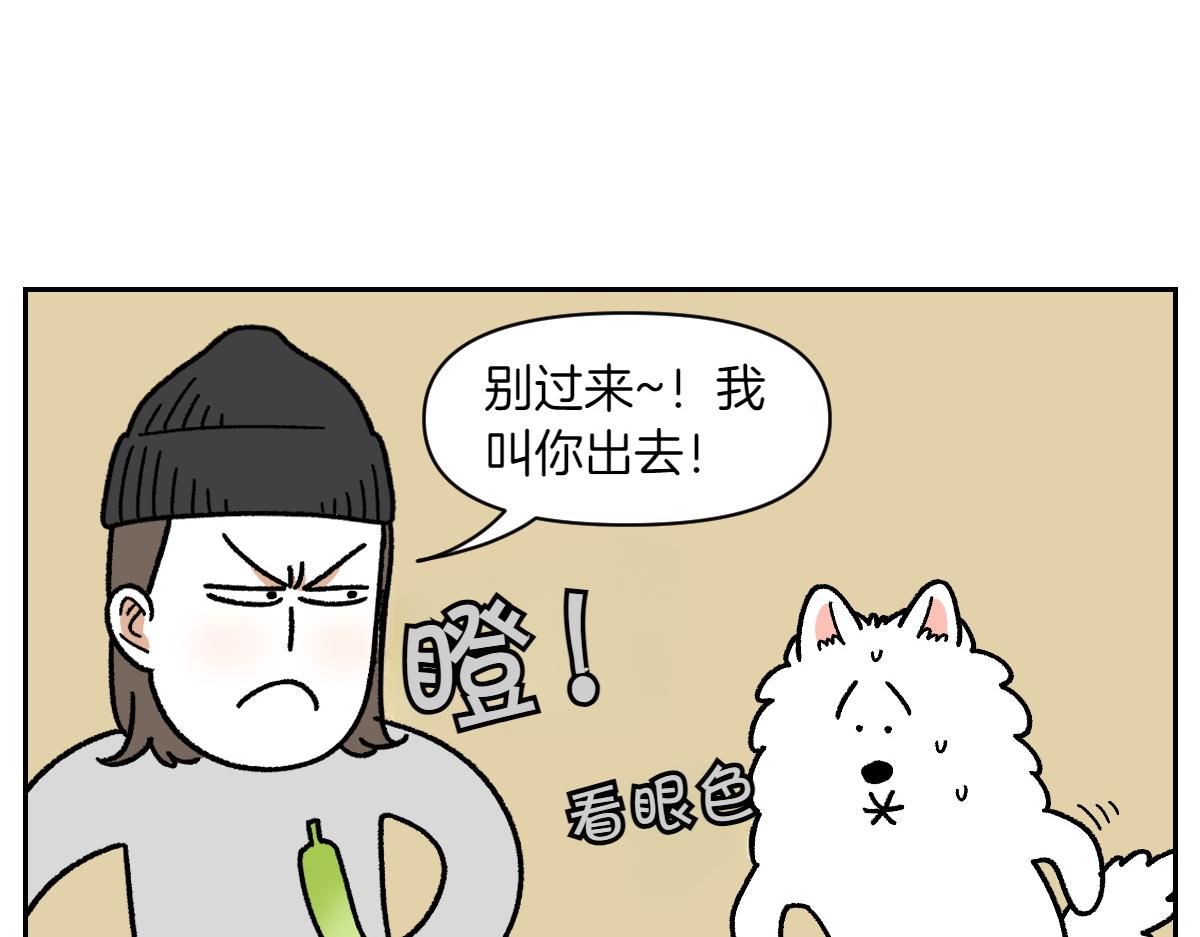 第21话 歪头等待的狗7