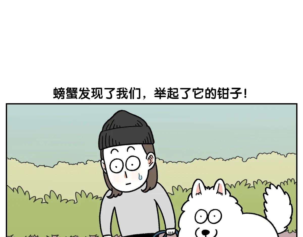 第25话 意想不到的动物朋友们12