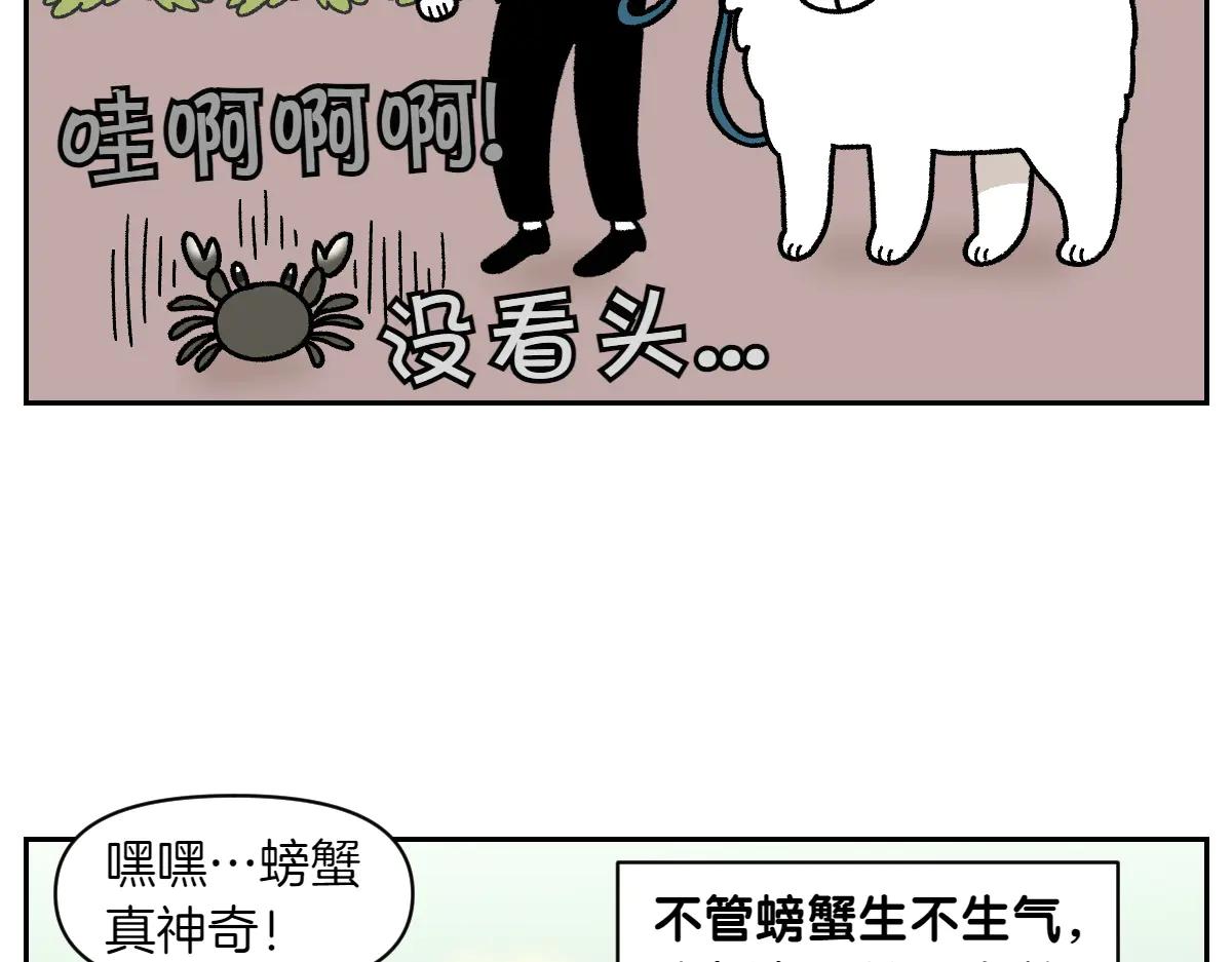 第25话 意想不到的动物朋友们13