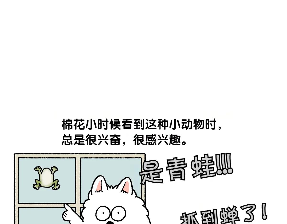 第25话 意想不到的动物朋友们15