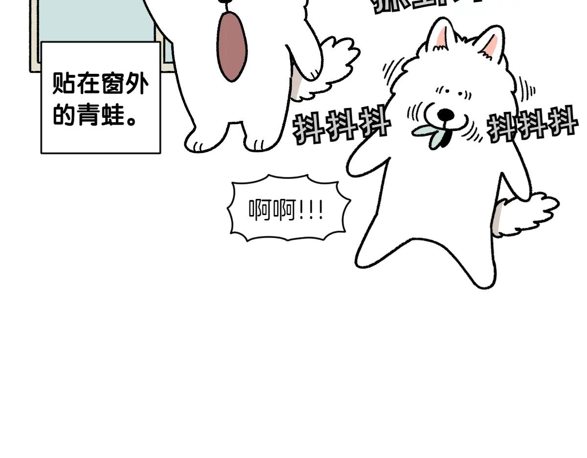 第25话 意想不到的动物朋友们16