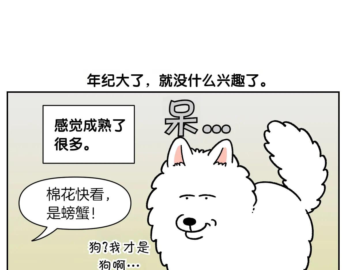 第25话 意想不到的动物朋友们17