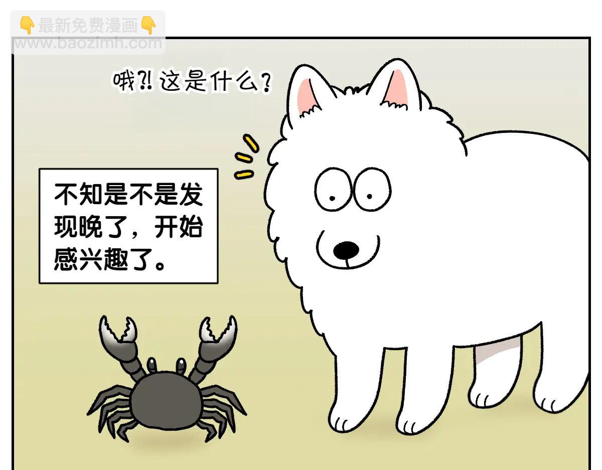 第25话 意想不到的动物朋友们19
