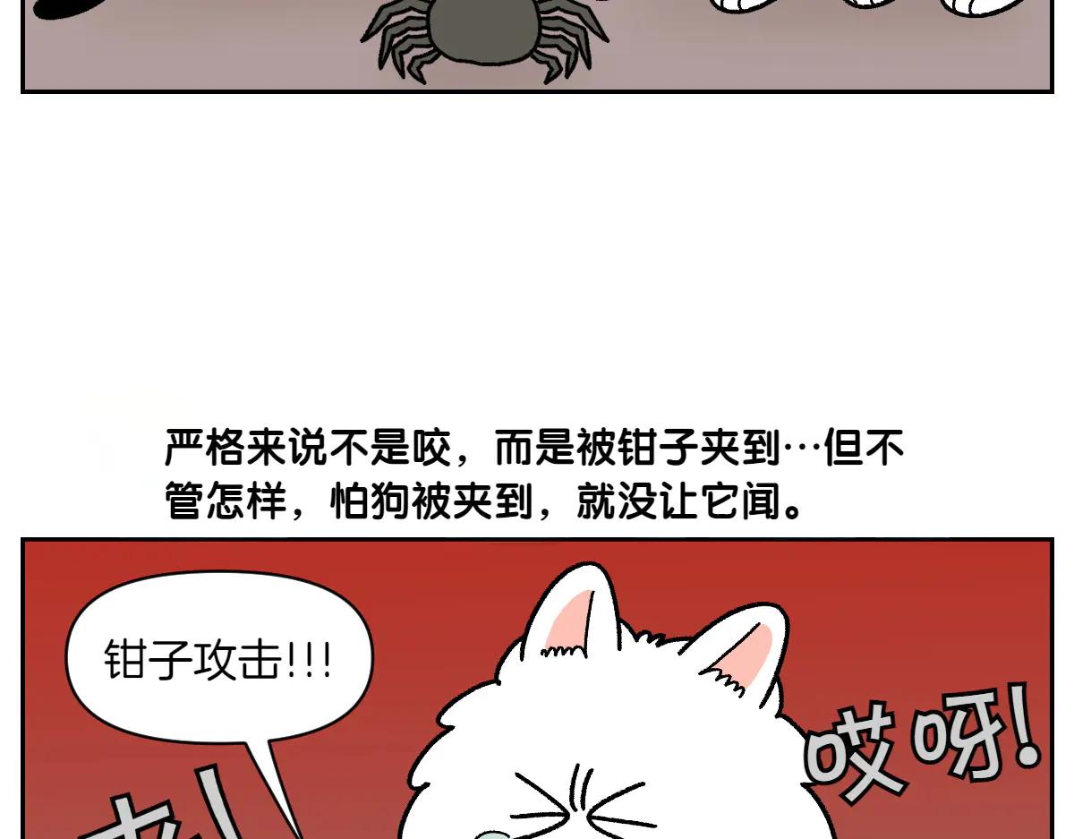 第25话 意想不到的动物朋友们23