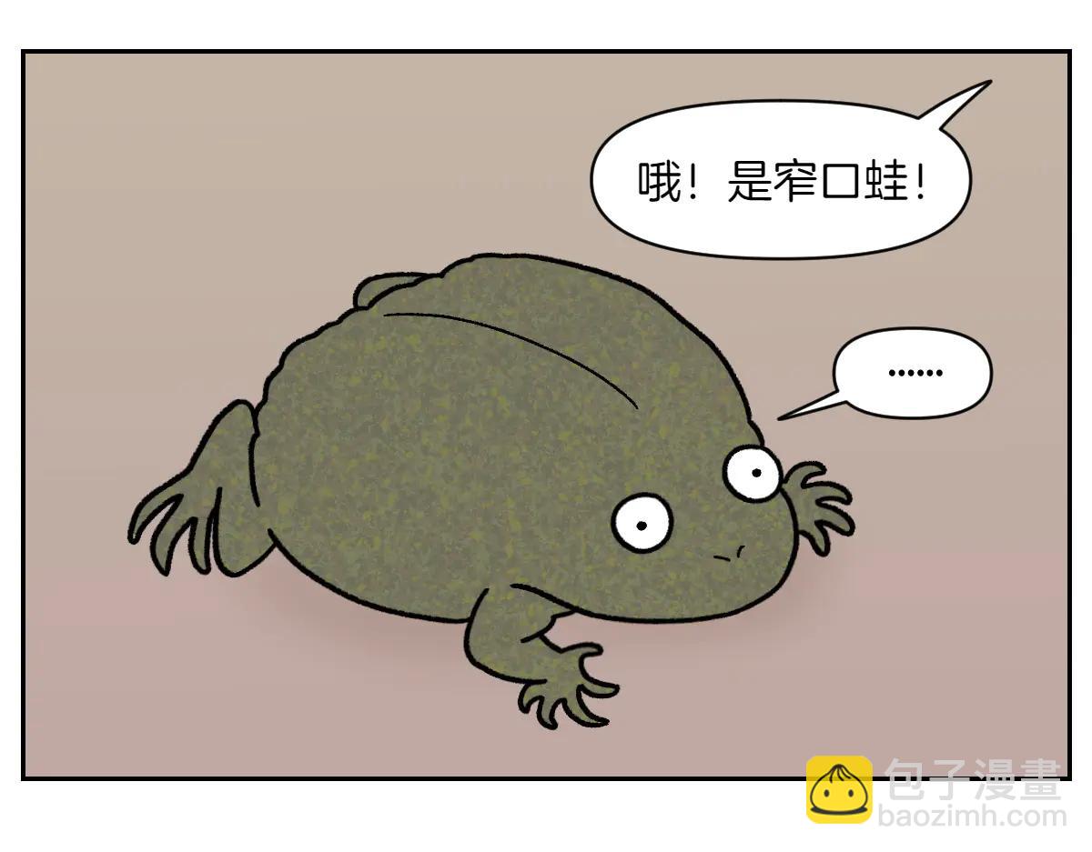 第25话 意想不到的动物朋友们31