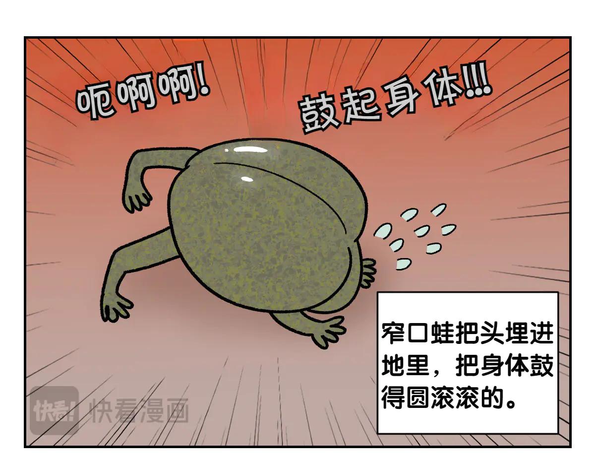 第25话 意想不到的动物朋友们34