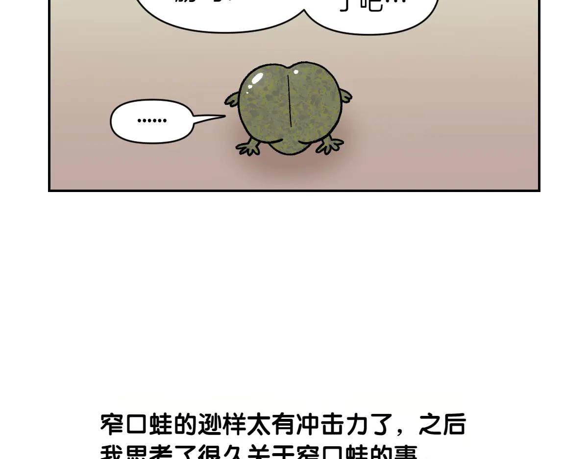 第25话 意想不到的动物朋友们37
