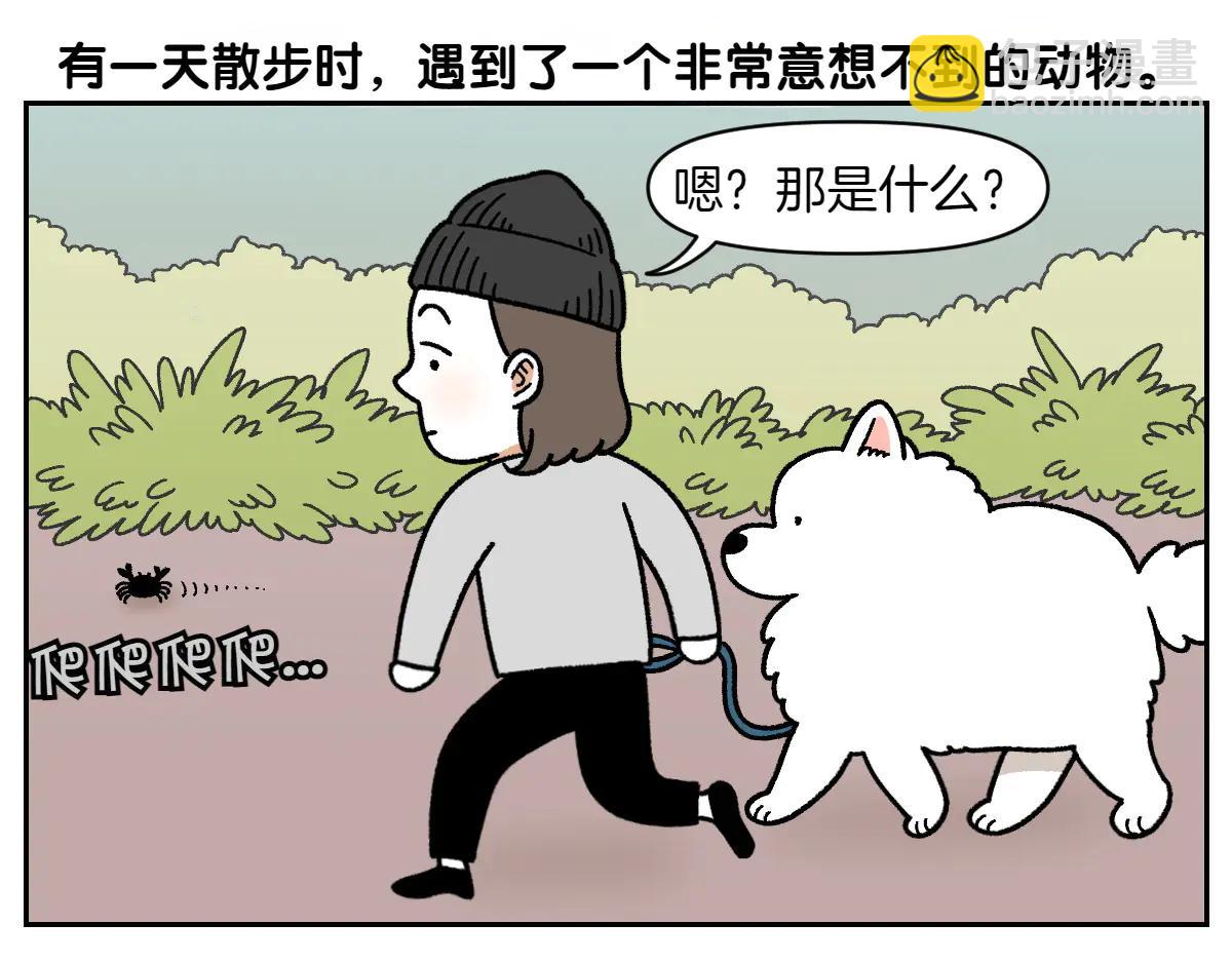 第25话 意想不到的动物朋友们4
