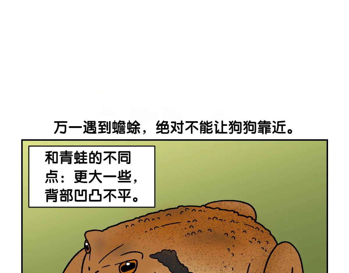 第25话 意想不到的动物朋友们44
