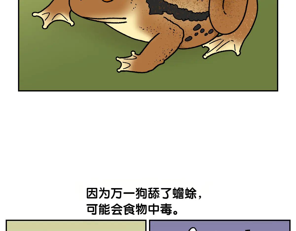第25话 意想不到的动物朋友们45