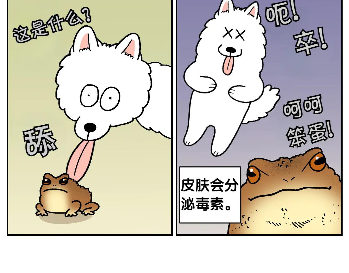 第25话 意想不到的动物朋友们50
