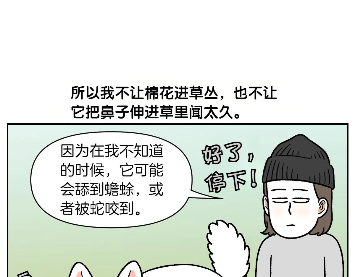 第25话 意想不到的动物朋友们51