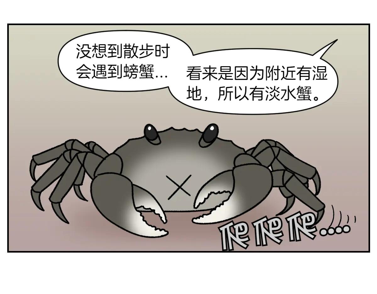 第25话 意想不到的动物朋友们8