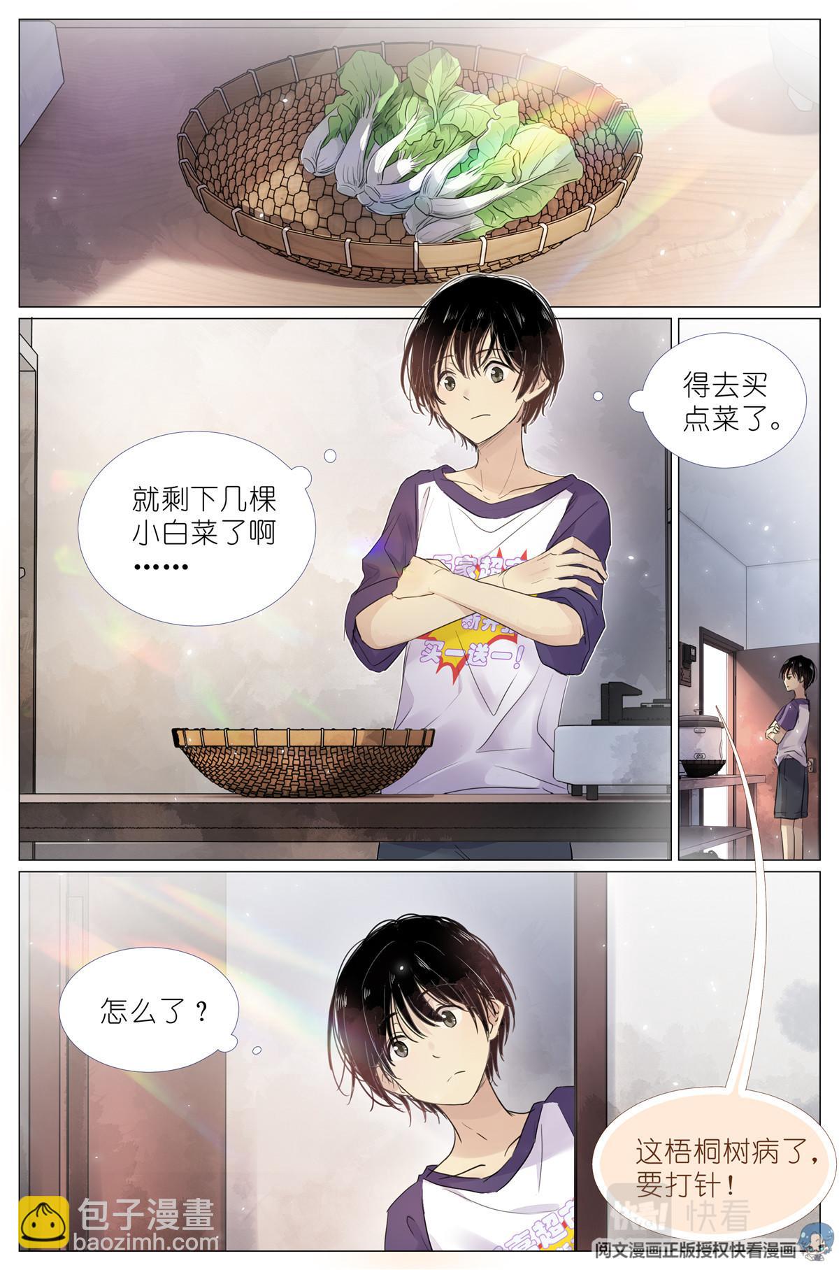 004 梧桐树1