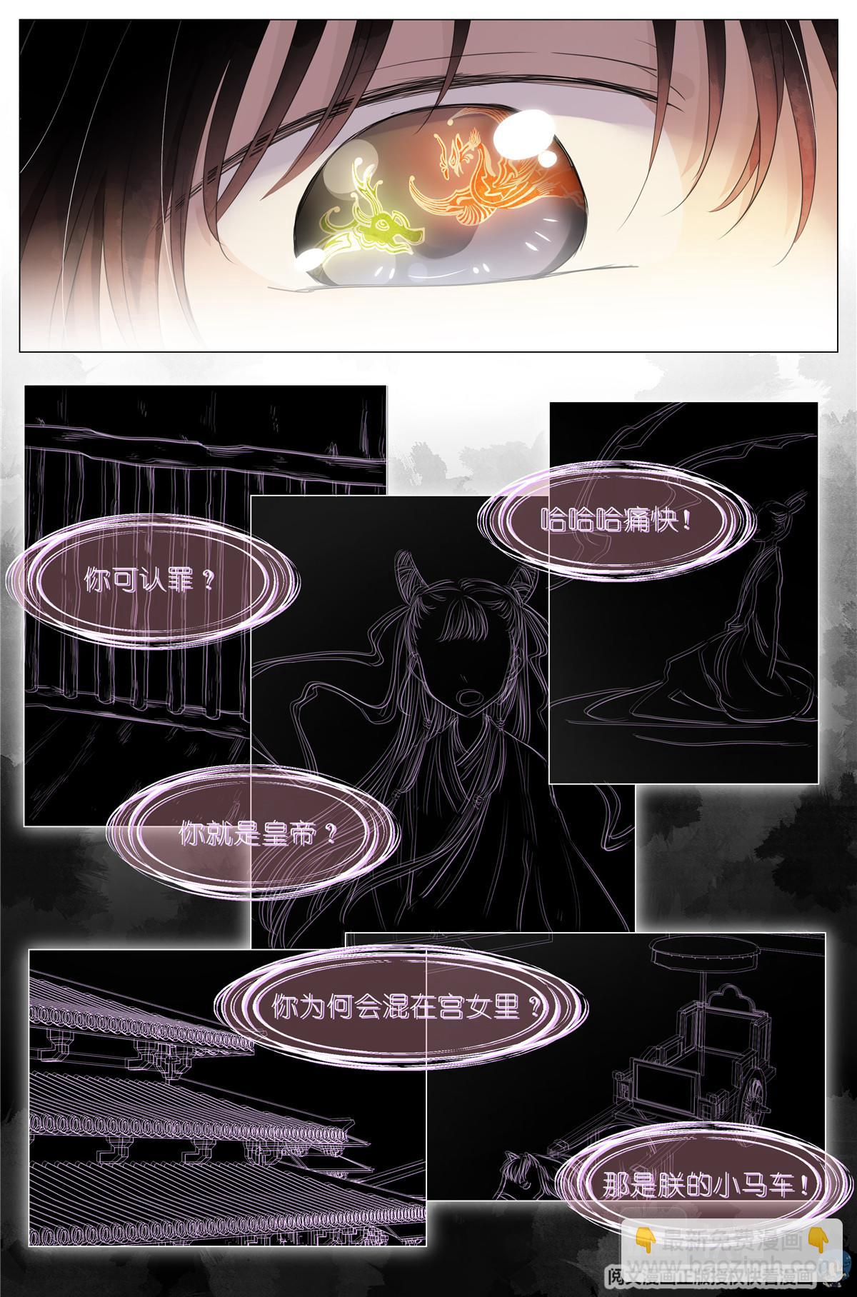 004 梧桐树14