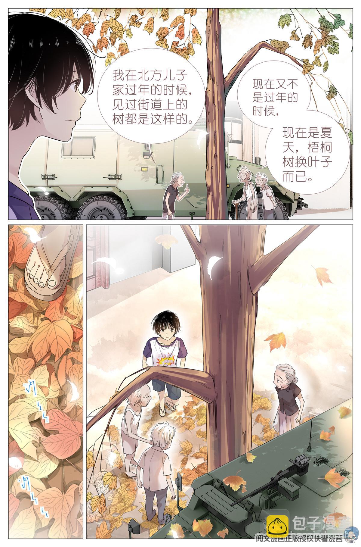 004 梧桐树2