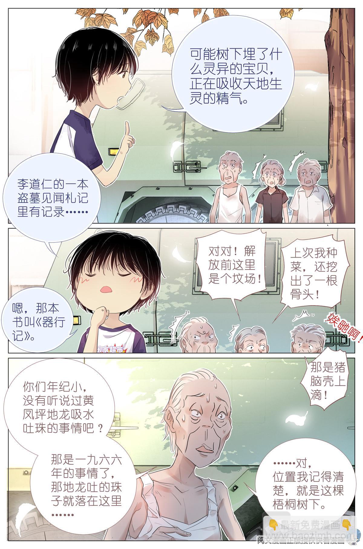 004 梧桐树3