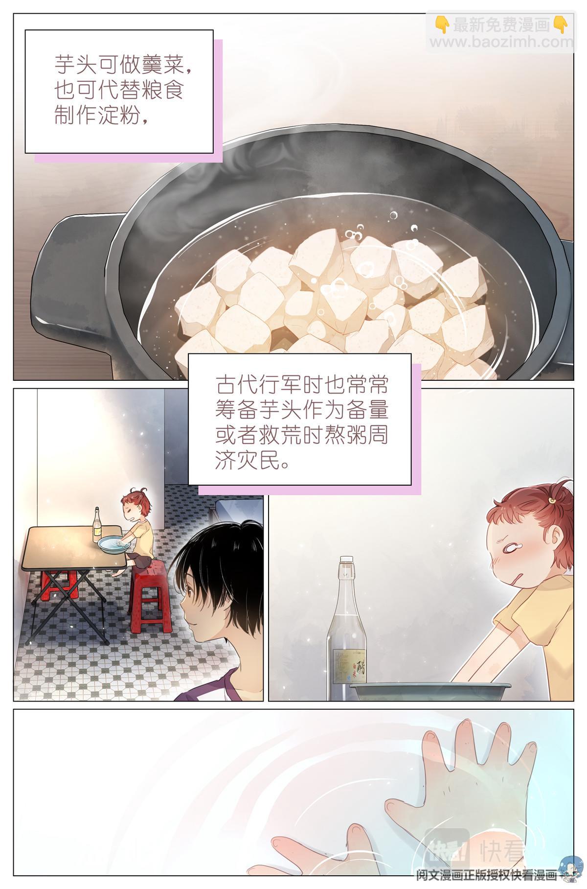 004 梧桐树7