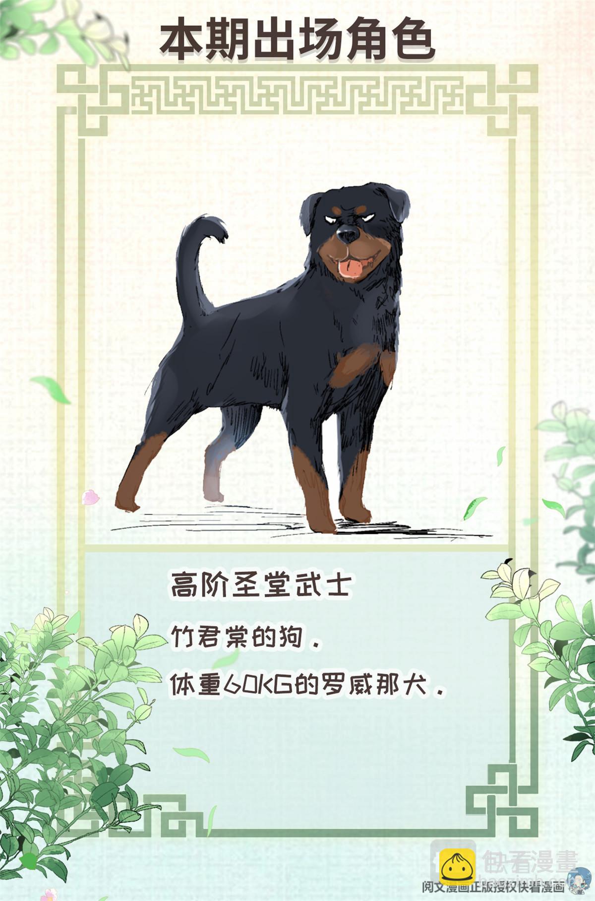008 我有一个条件21