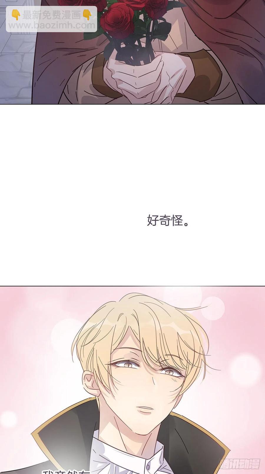 番外6 吸血鬼的玫瑰35