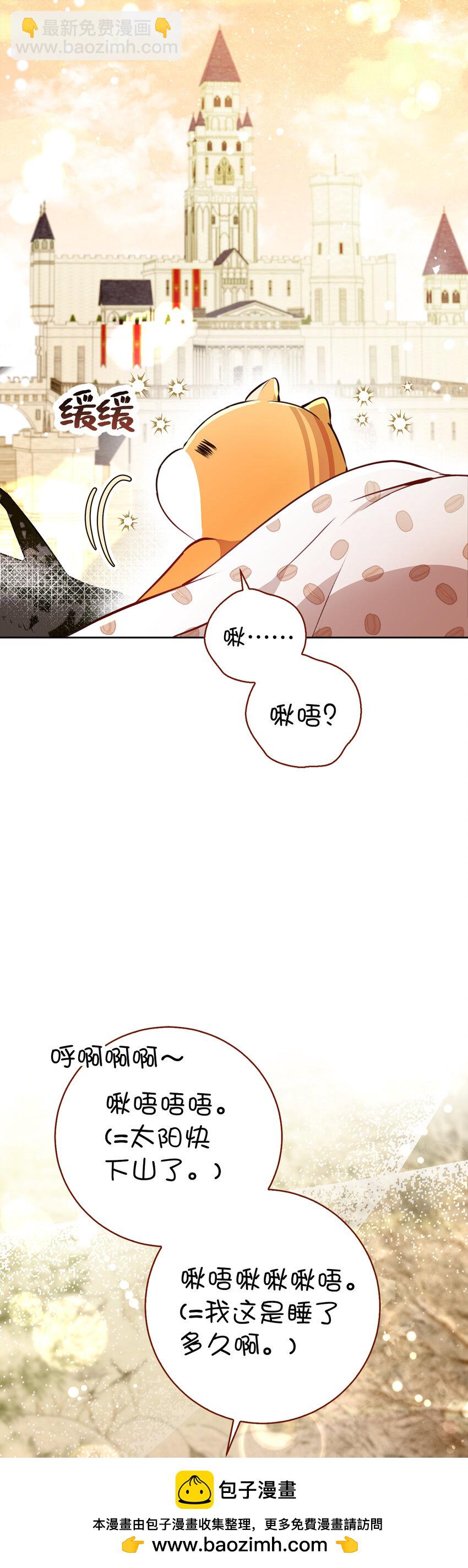 53 传说中的牙齿精灵53