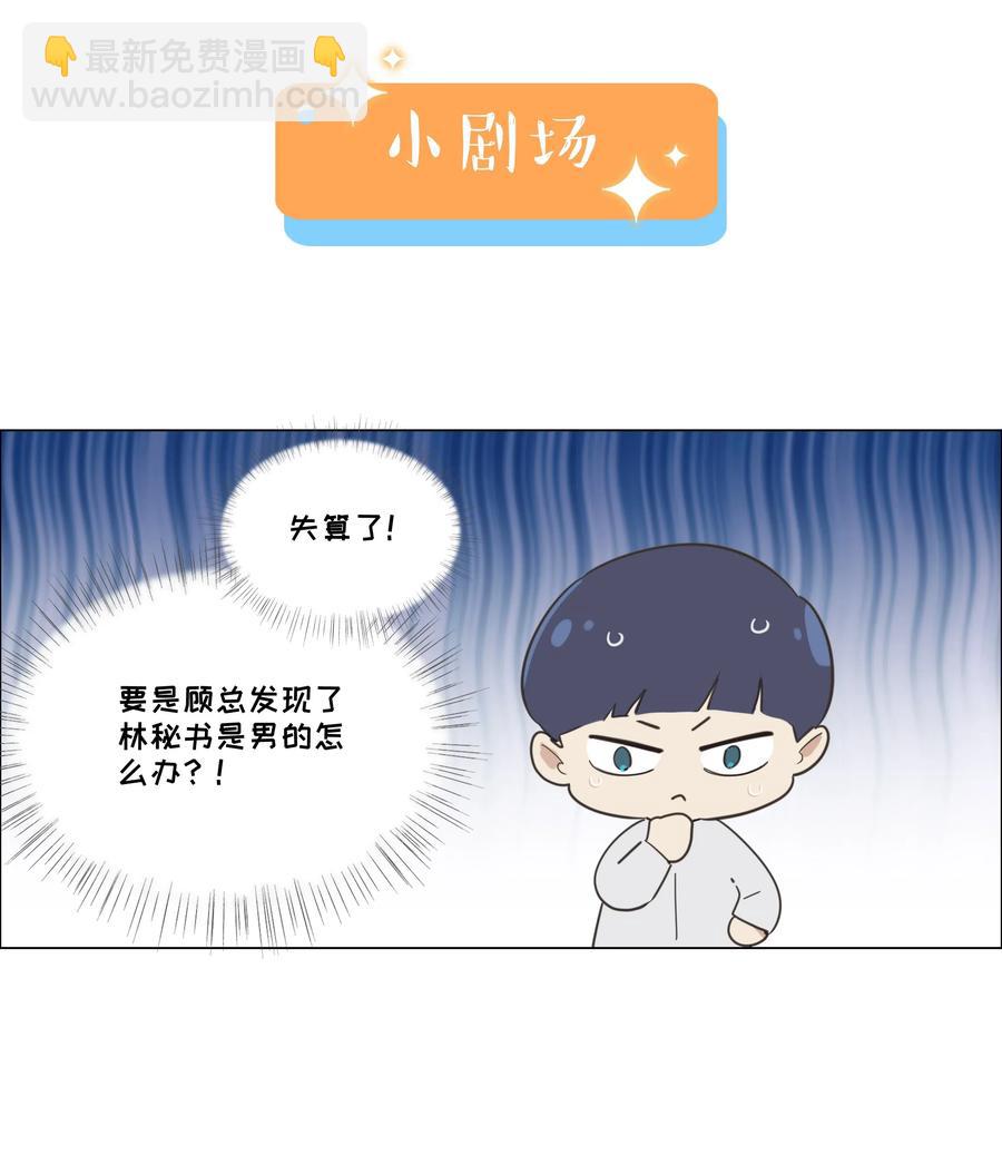 040 突然想见她41