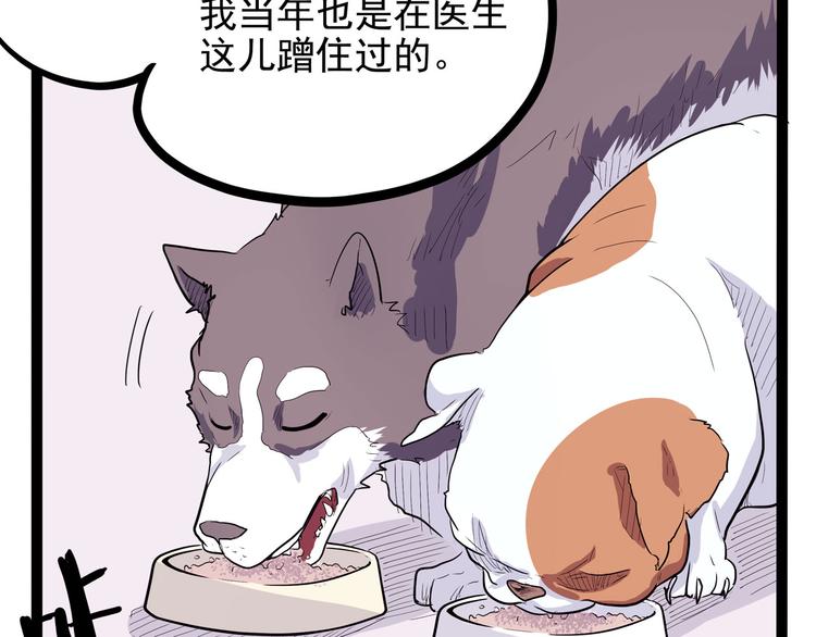 第19话 医生你是不是gay？21
