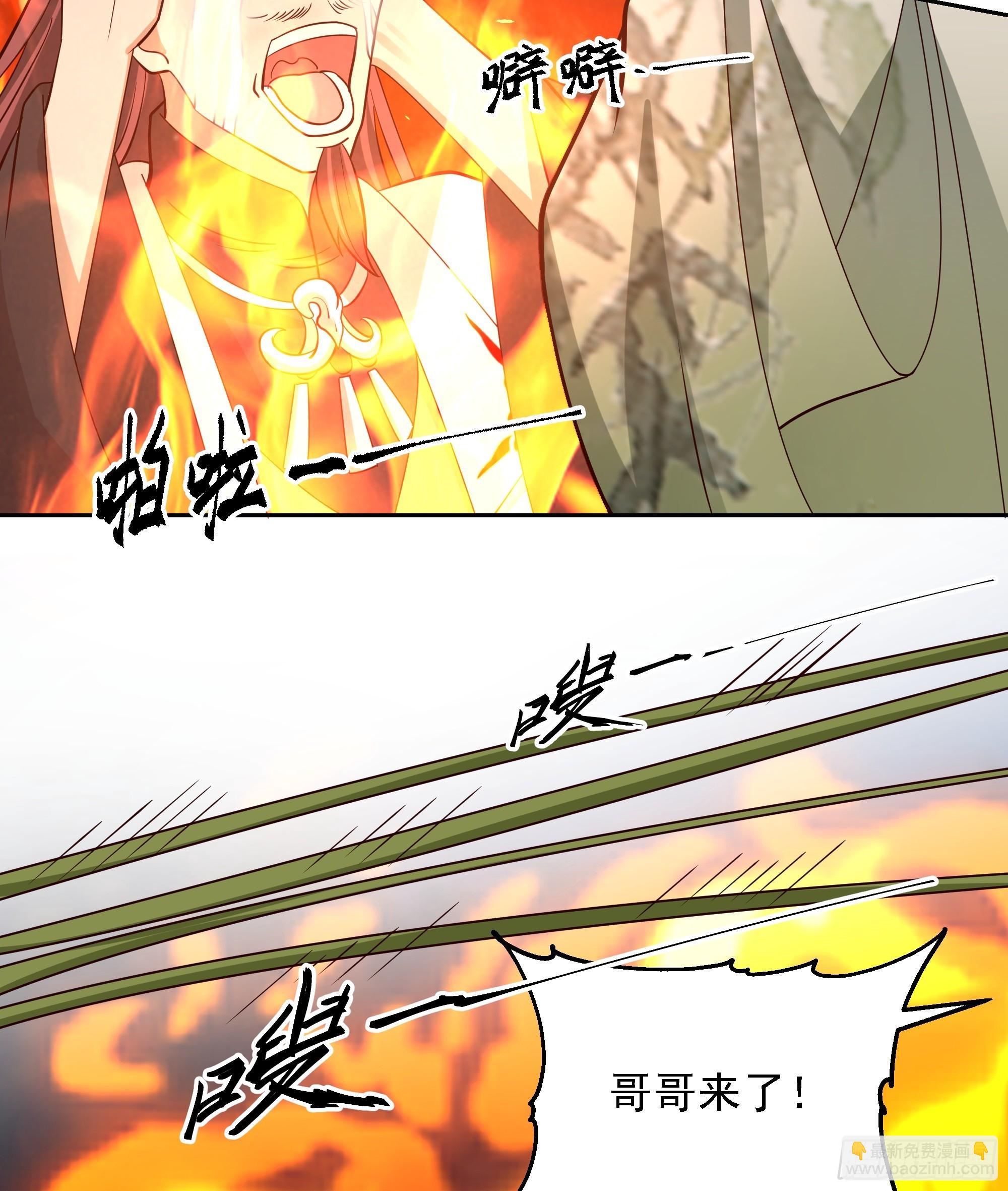 桑柳连理枝11