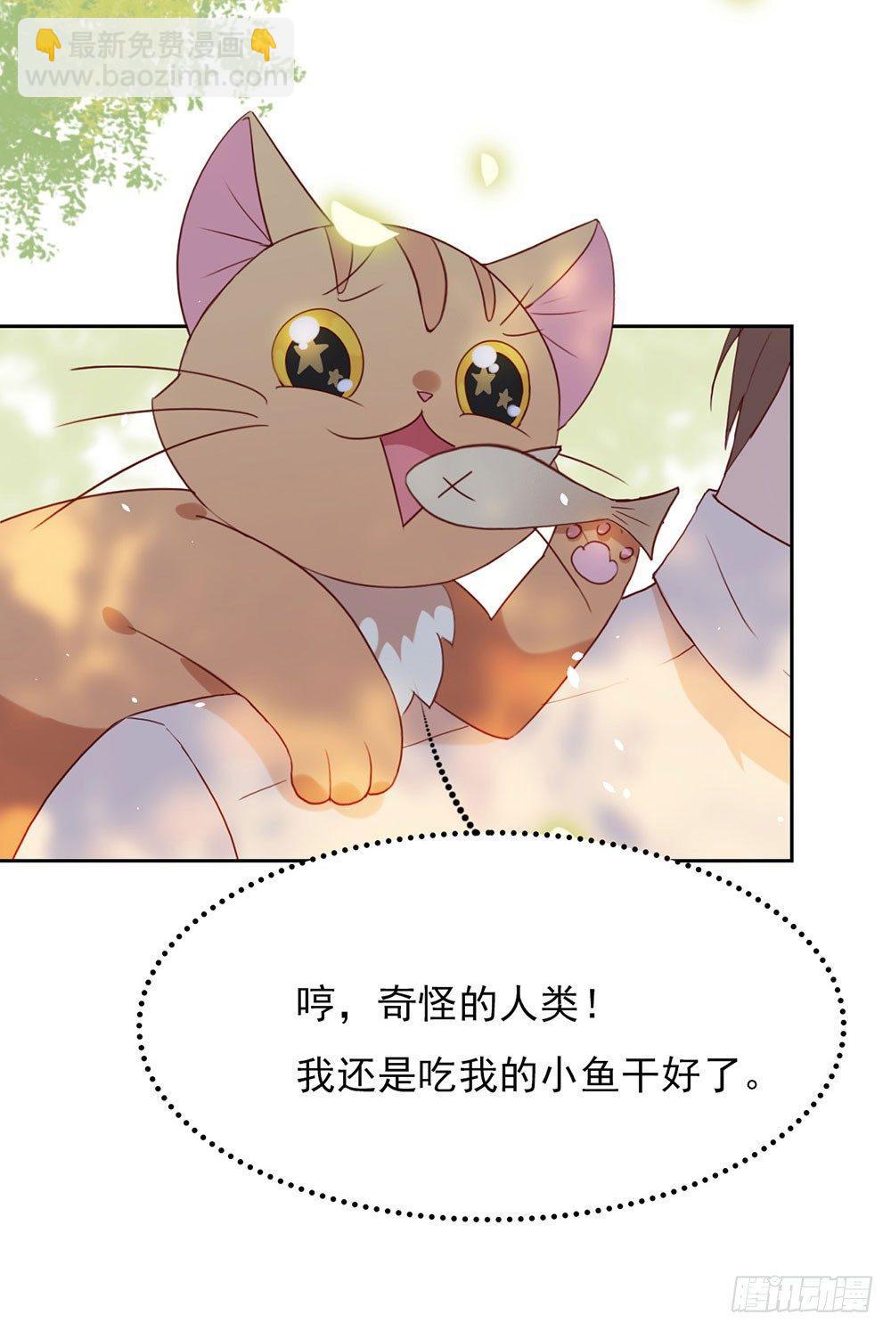 005 退婚？故事就崩了！6