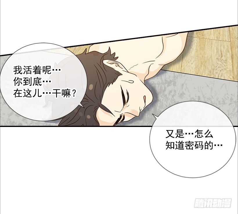 15.这家伙又…32
