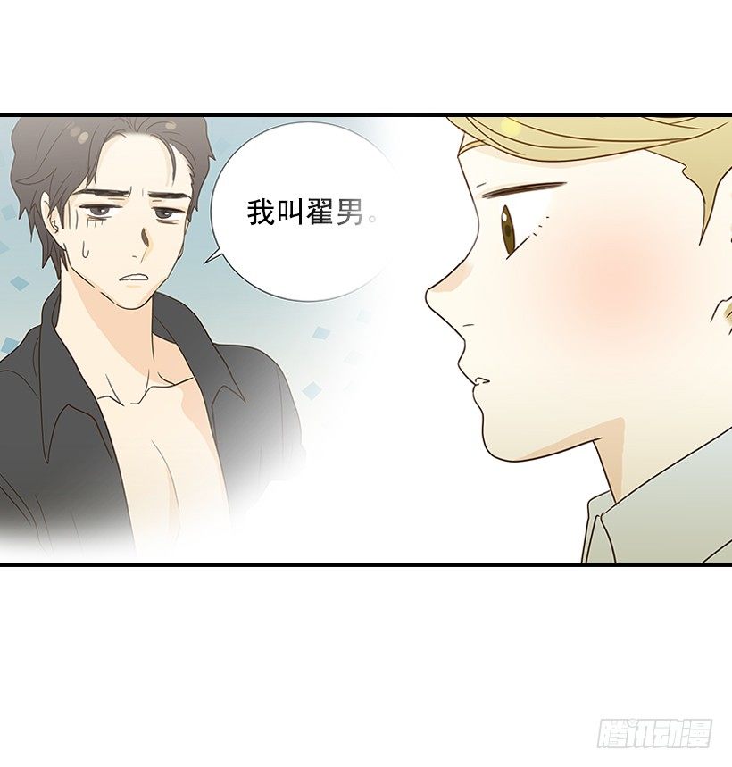 16.什么形象6