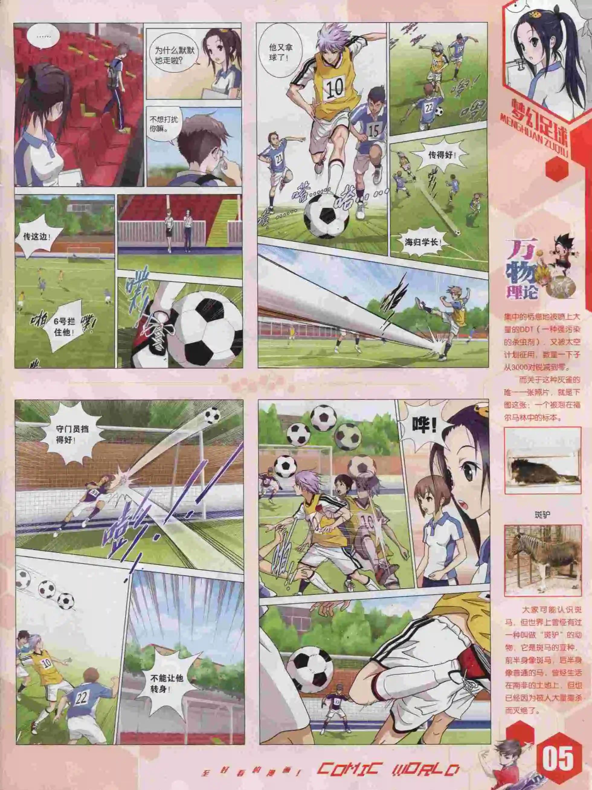 15年43期6