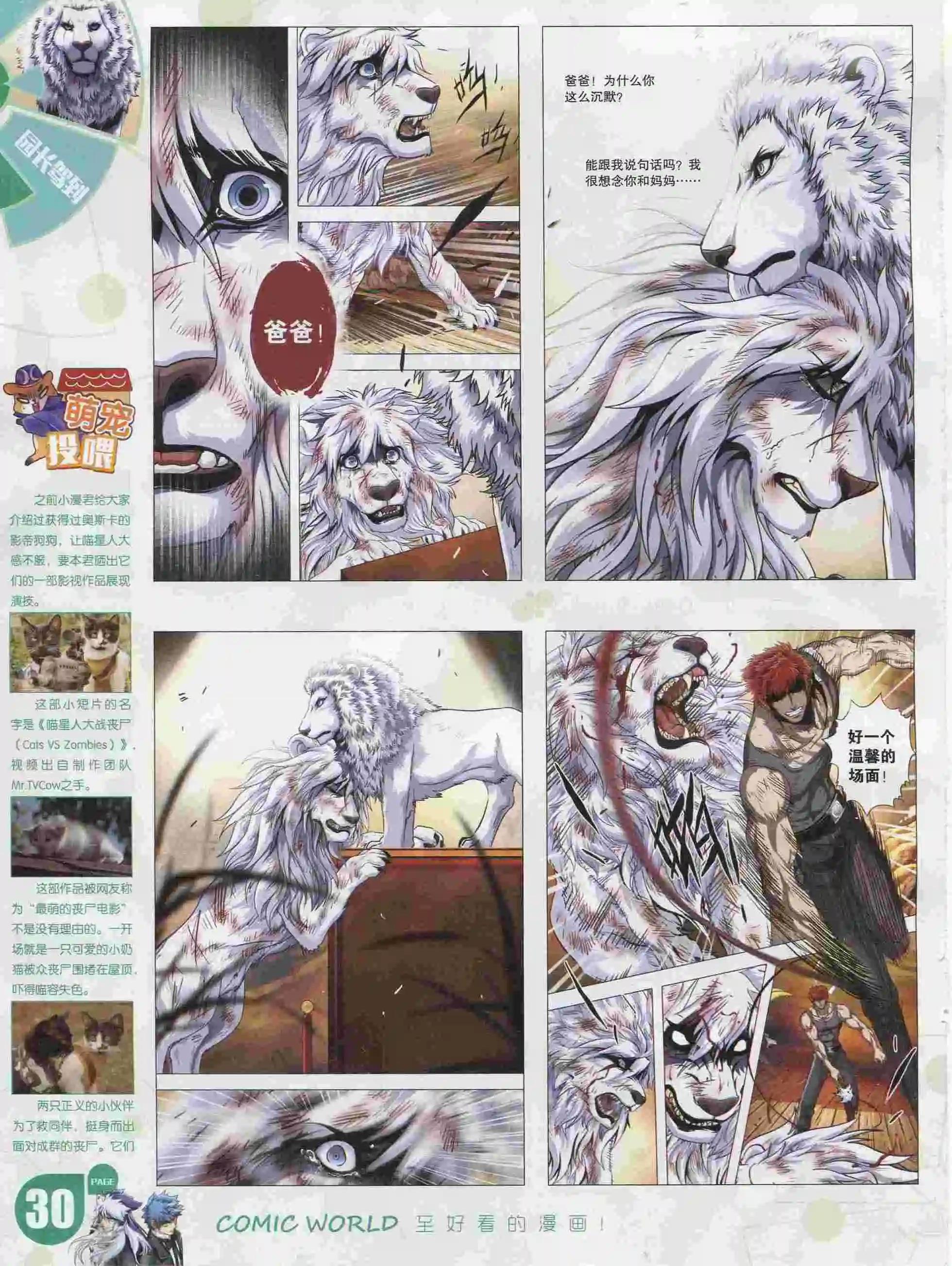 16年05期31