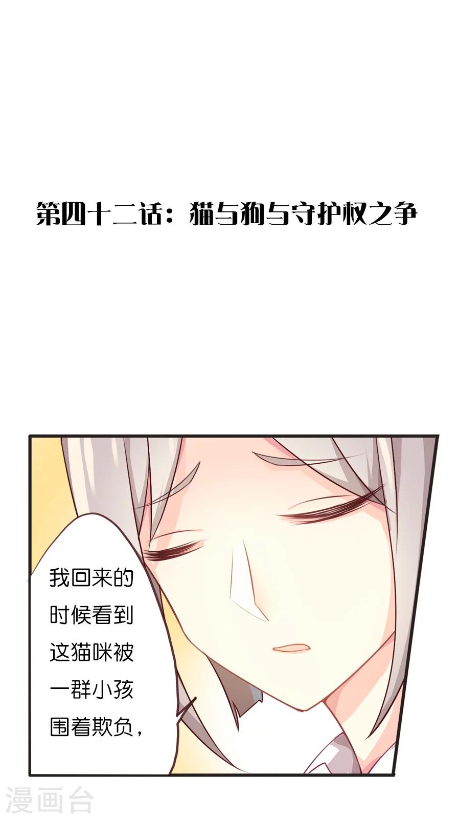 第42话 猫与狗与守护权之争0