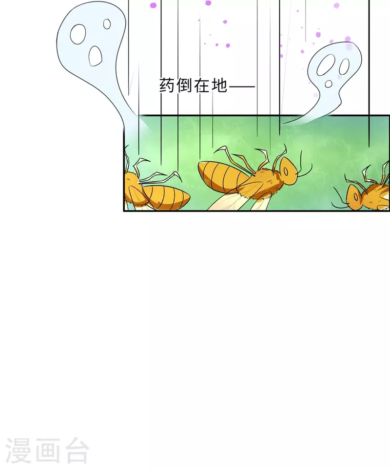 066 天生很默契8
