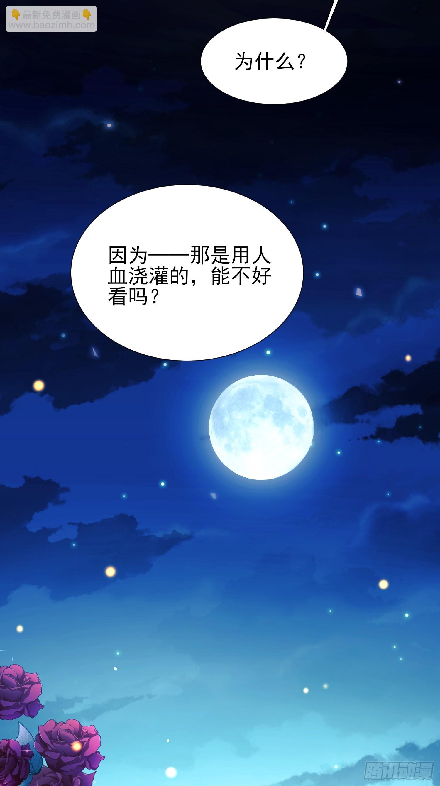 第12话：玫瑰园7