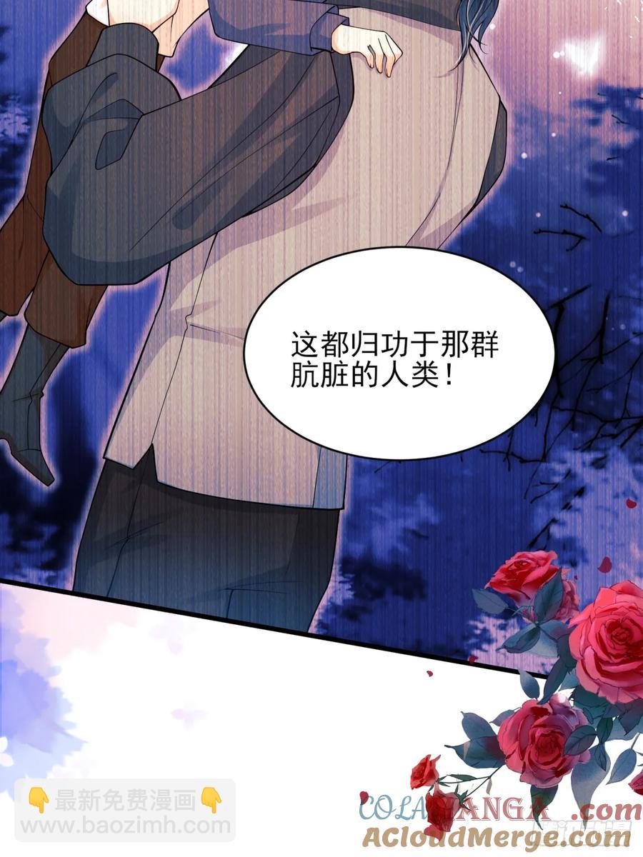 第76话：玫瑰海26