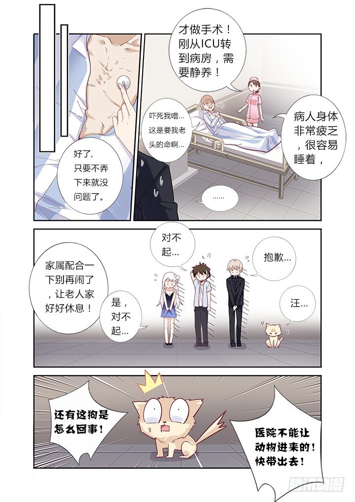 41.好演技3