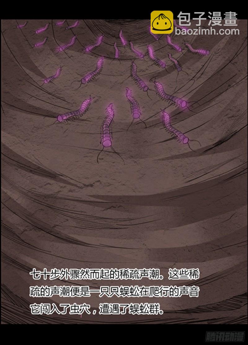 锯齿金蜈17