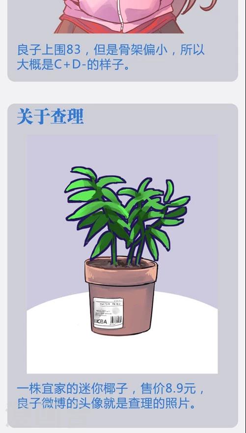 番外9 档案特辑1