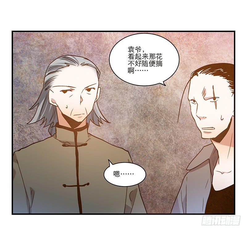 第九十话  幻境5