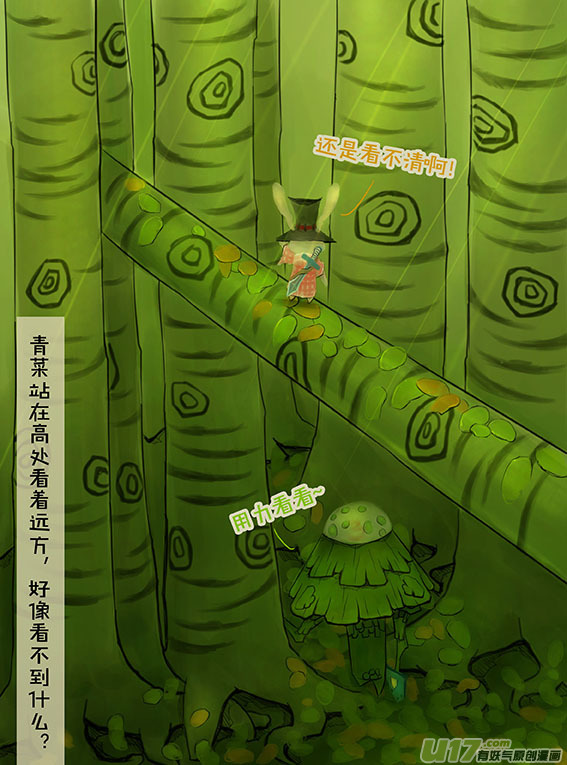 81 迷林地（1）5
