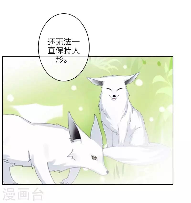 最终话 倾溪5